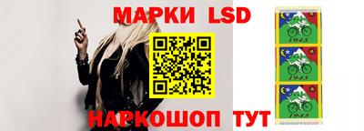 Альфа ПВП Ярославль