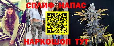 Альфа ПВП Ярославль