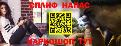 Альфа ПВП Ярославль